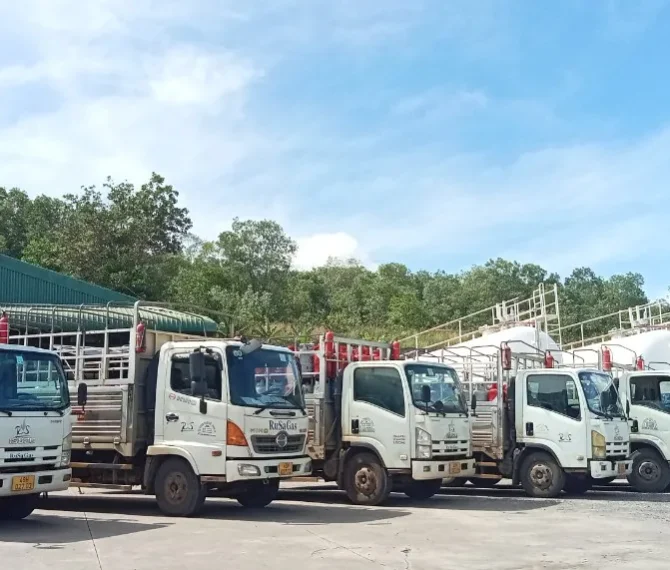 z5549337270669_c8f6c176bd4a123a7a78391faabdd642